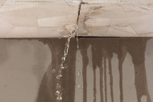 Professional Sewage Cleanup technician working in Rapid City, MI